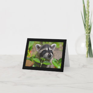 Baby Racoon Notecard