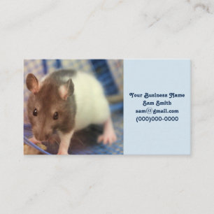 Baby rat business card