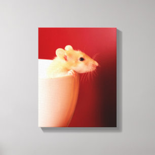 Baby Rat Canvas Print