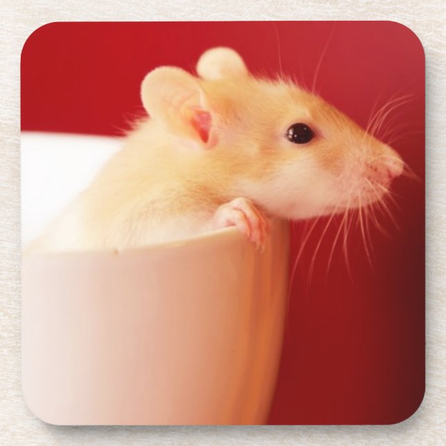 Baby Rat Coaster (Front)