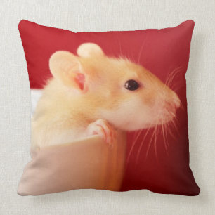 Baby Rat Cushion
