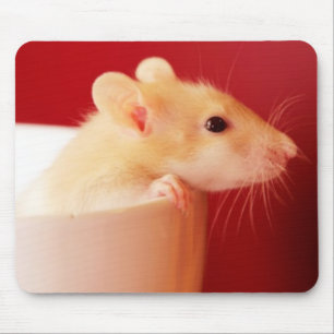 Baby Rat Mouse Pad