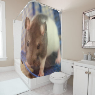 Baby rat shower curtain