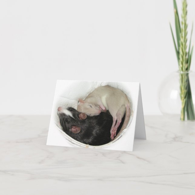 Baby Rat Sleeping Thank You Card (Front)