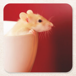 Baby Rat Square Paper Coaster