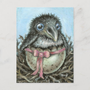 Baby Raven Postcard