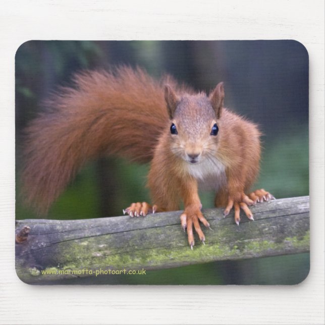 Baby Red Mousemat (Front)