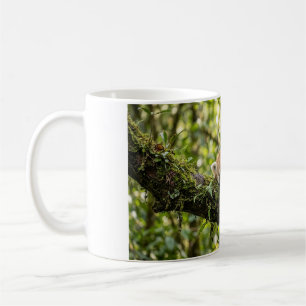 Baby Red Panda Resting in a Tree Coffee Mug