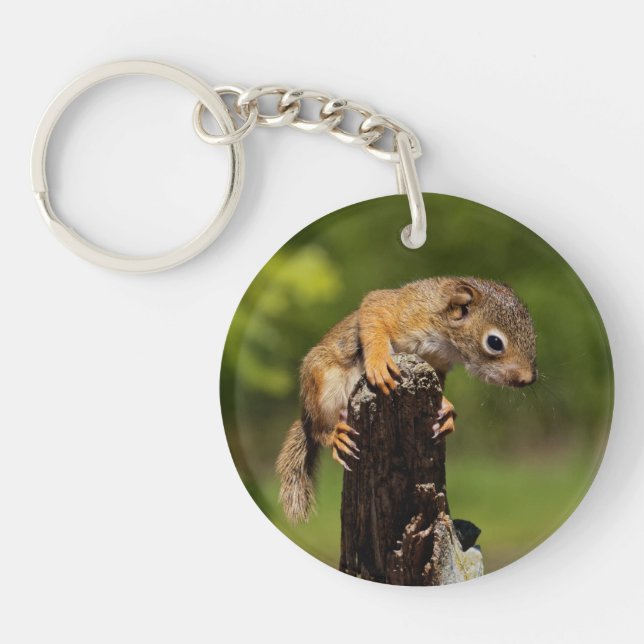 Baby Red Squirrel Key Ring (Front)
