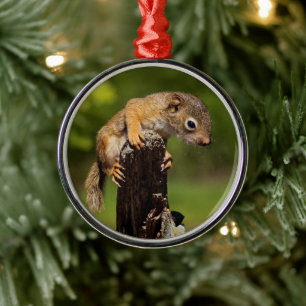 Baby Red Squirrel Metal Tree Decoration
