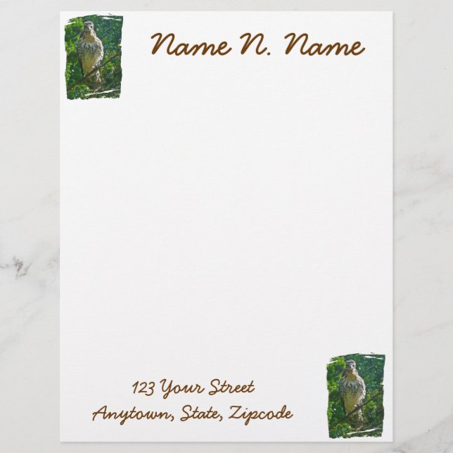 Baby Red Tailed Hawk Letterhead Stationery (Front)