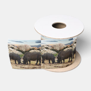 Baby Rhinoceros Life Lesson, Satin Ribbon