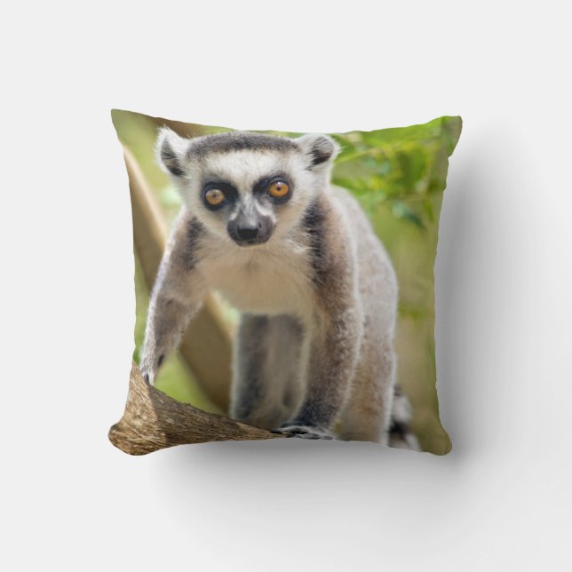 Baby ring-tailed lemur cushion (Front)
