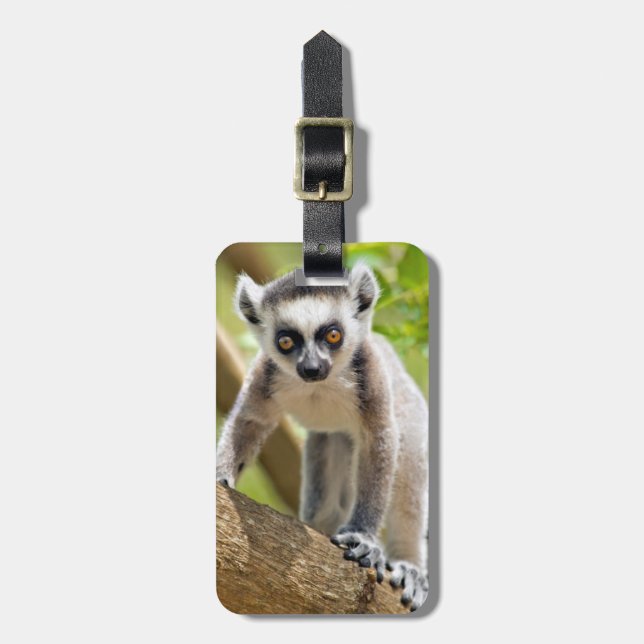 Baby ring-tailed lemur luggage tag (Front Vertical)