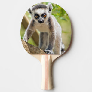 Baby ring-tailed lemur ping pong paddle