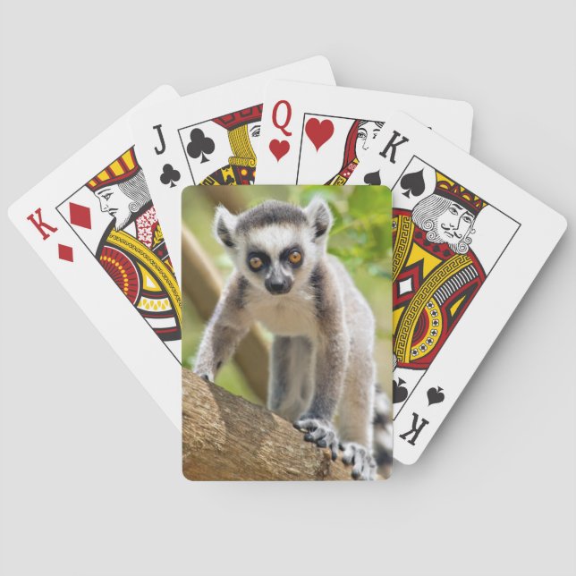 Baby ring-tailed lemur playing cards (Back)