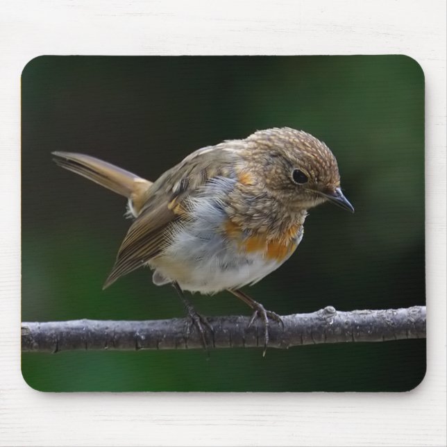 Baby Robin Mouspad Mouse Pad (Front)