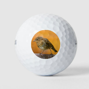 Baby Robin On A Tree Branch Golf Balls