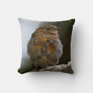 Baby Robin Pillow