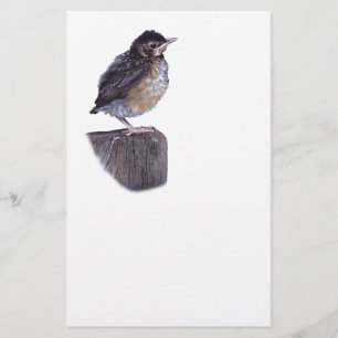 baby robin stationery