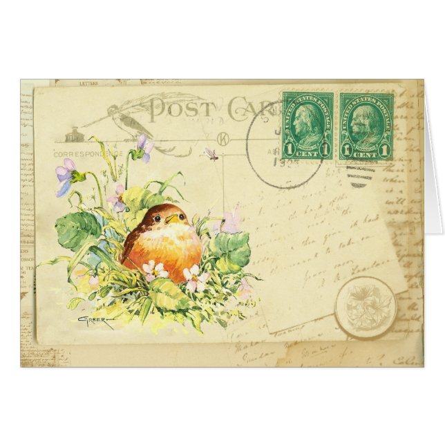 Baby Robin with Violets Postcard (Front Horizontal)