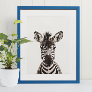 Baby Safari African Jungle Animals  Zebra  Poster