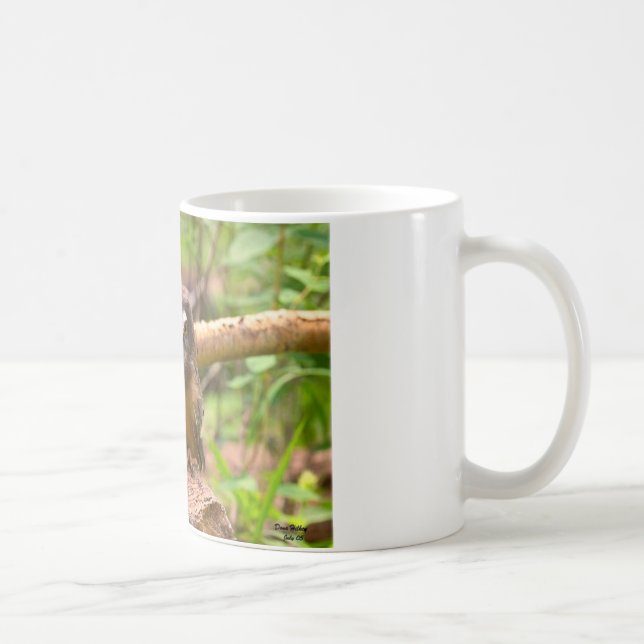 Baby Saw Whet Owls Mug (Right)