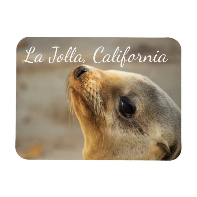 Baby Sea Lion , La Jolla, California Magnet (Horizontal)