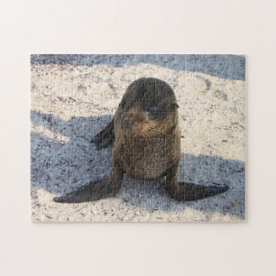 Baby Sea Lion Puzzle