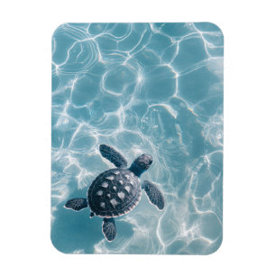 Baby Sea Turtle in Clear Water Magnet