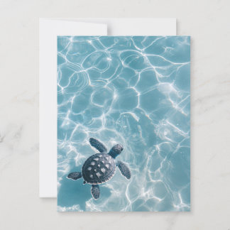 Baby Sea Turtle in Clear Water Postcard