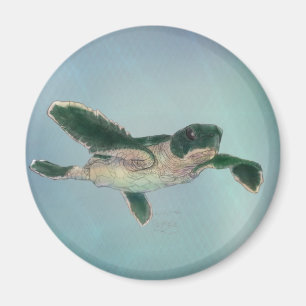 Baby Sea Turtle Magnet