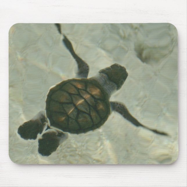 Baby Sea Turtle Swimming Out To Sea Mouse Pad (Front)