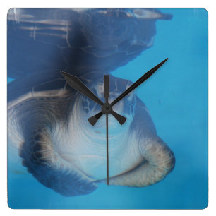 Baby Sea Turtle Wall Clock
