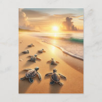 Baby Sea Turtles heading to the Ocean at the Beach