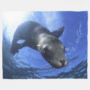 BABY SEAL FLEECE BLANKET