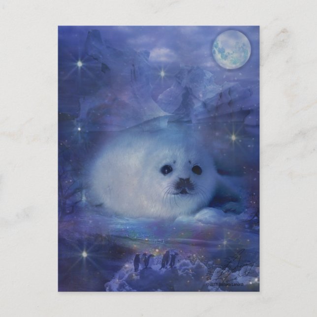 Baby Seal on Ice - Beautiful Seascape Postcard (Front)