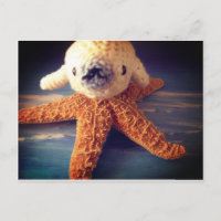 Baby seal postcard