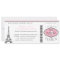 Baby Shower Boarding Pass to Paris