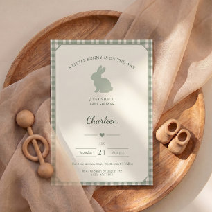 Baby Shower Invitation Little Bunny Is On The Way