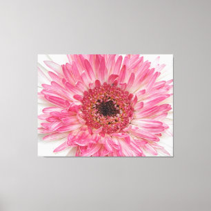 Baby Shower Pink Flower- Pink Design Canvas Print