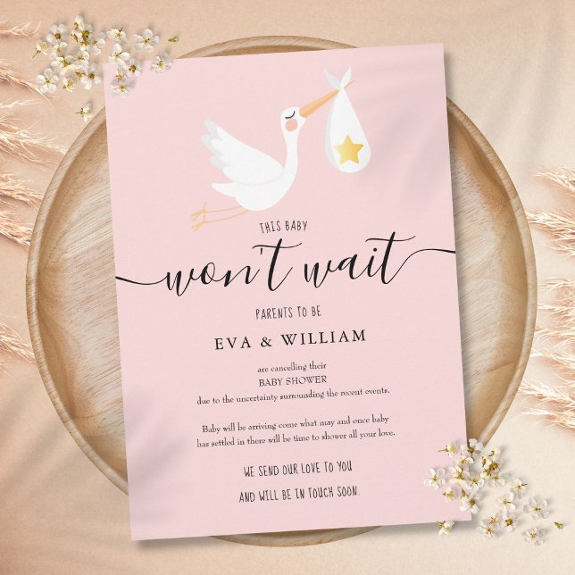 Baby Shower Sprinkle Cancellation Pink Card (Baby Shower Sprinkle Cancellation Pink Card)