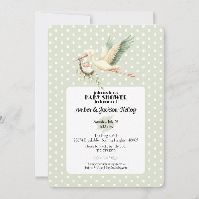Baby Shower Stork Special Delivery 2 Invitation (Front)