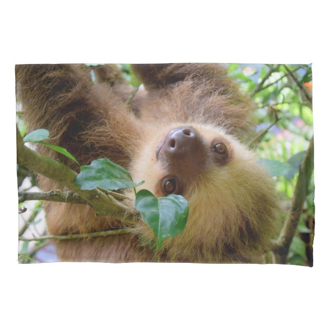 Baby Sloth Pillowcase (Front)