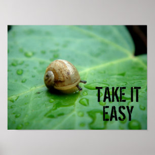 Baby Snail Poster