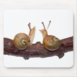 Baby Snail Talk Mousemat