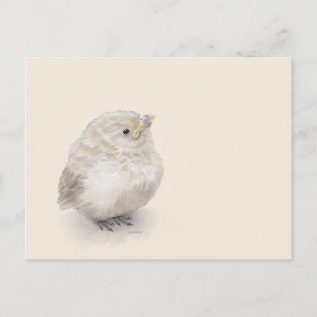 Baby Sparrow Digital Watercolor Postcard (Front)
