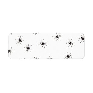 baby spiders