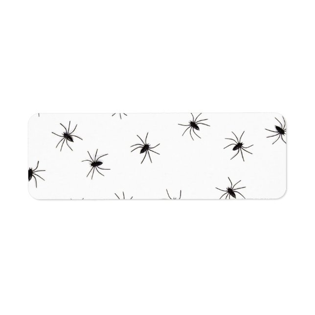 baby spiders (Front)