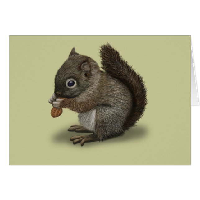 Baby Squirrel (Front Horizontal)